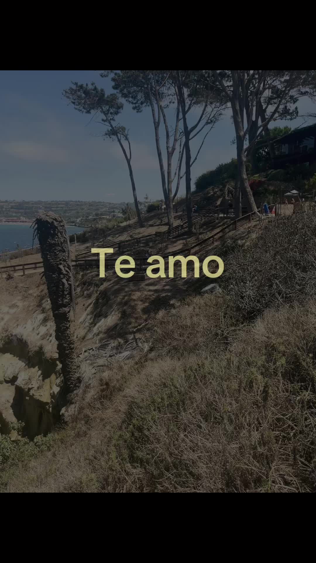 @Swaglen🇲🇽💀