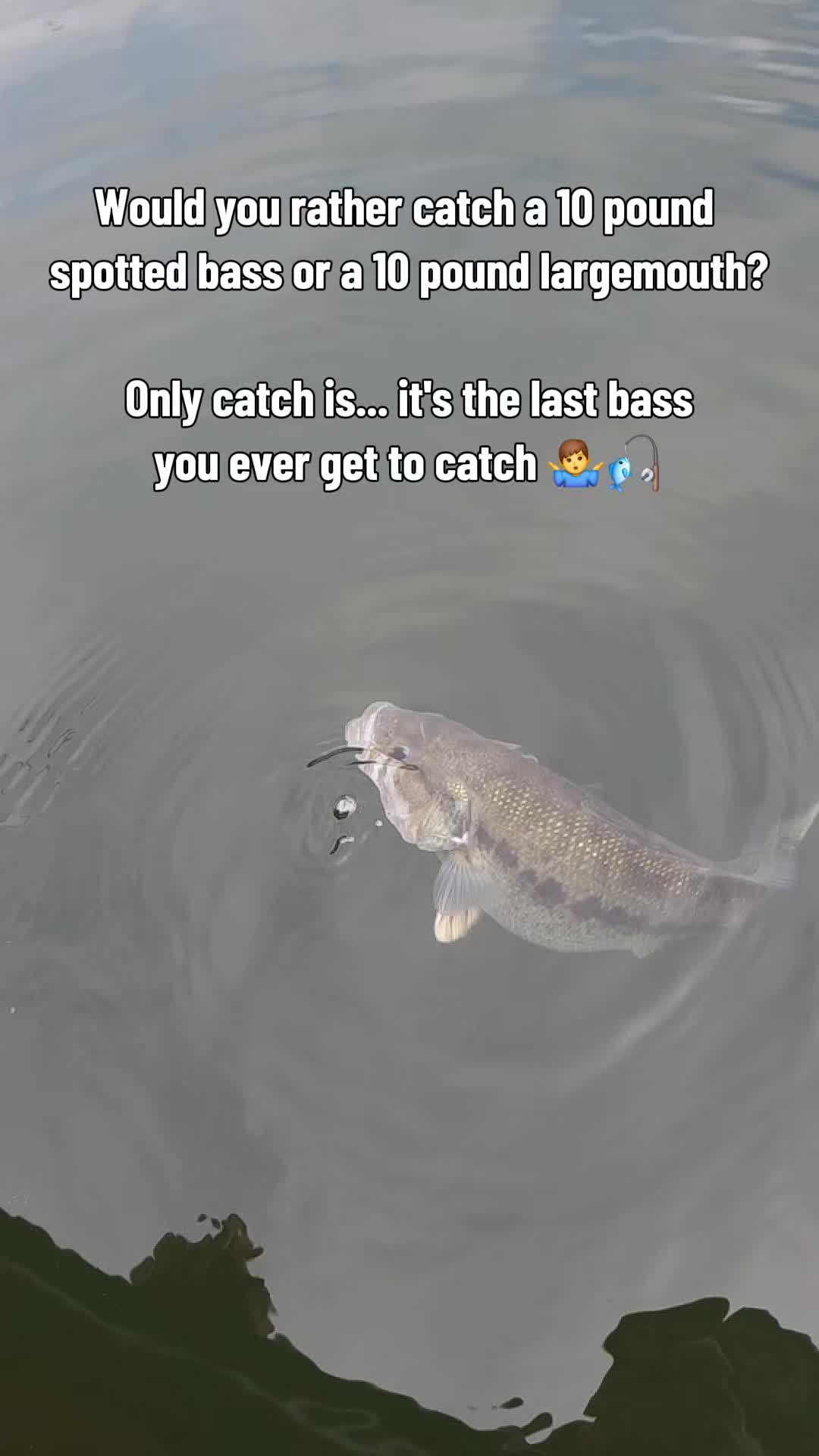 @TheFishingFix