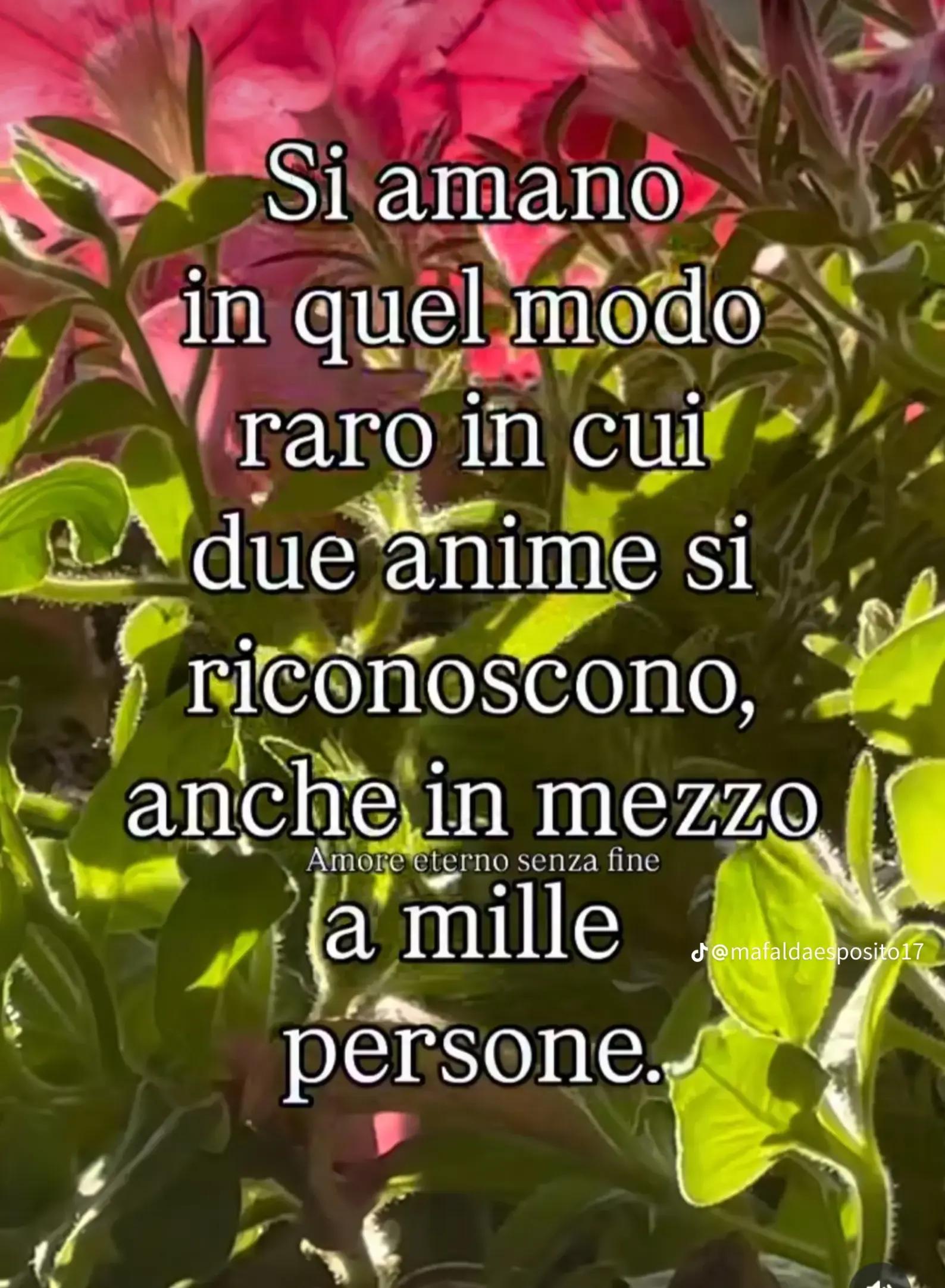 @annaoriglio839