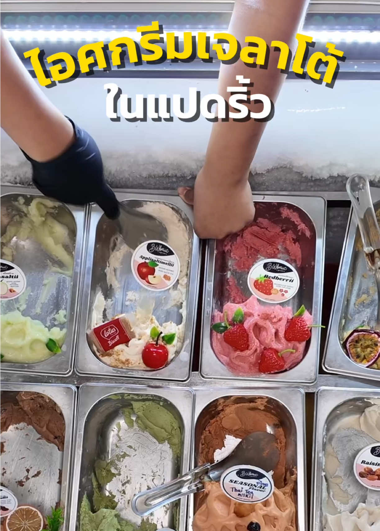 @ต้นอ้อที่ชอบรีวิว