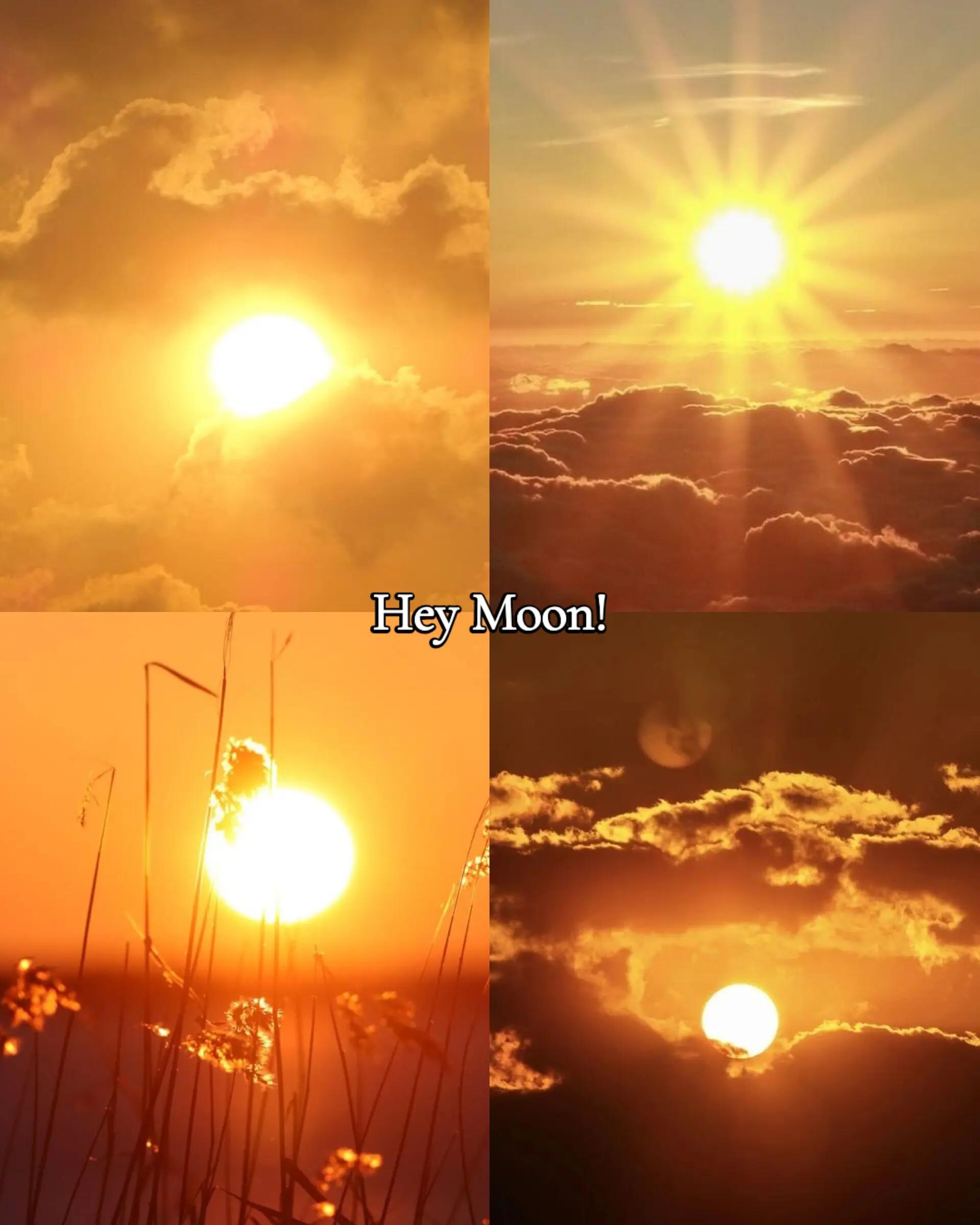 @Elssa✨️