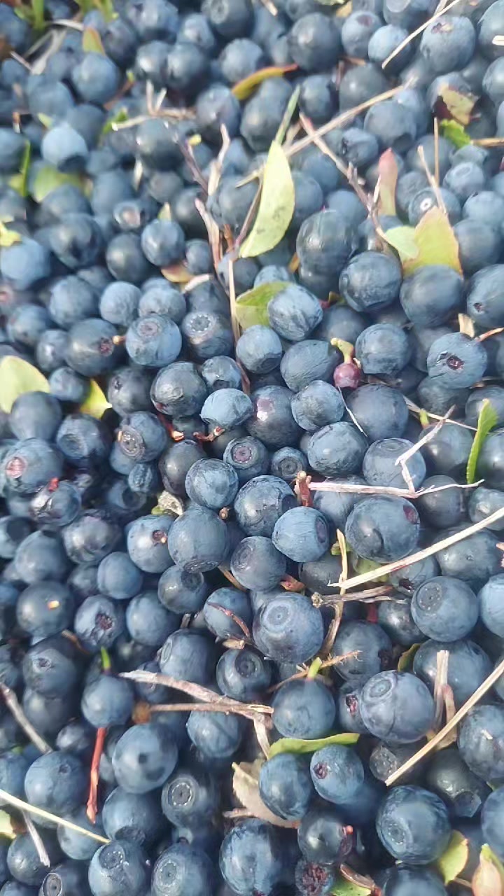 @Fshati_fshat😍