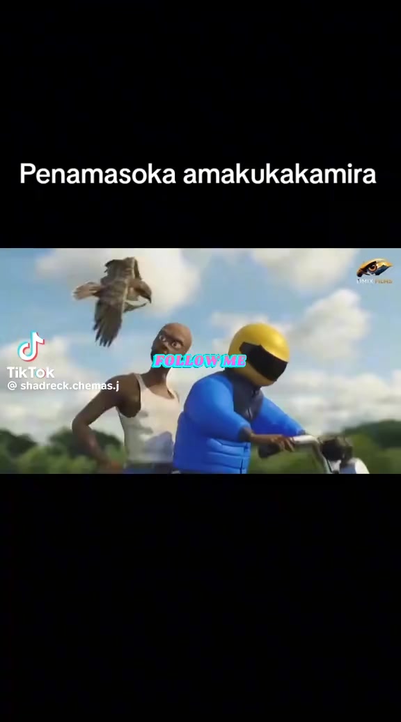 @NJOBVU AIRWAYS🙀🩵