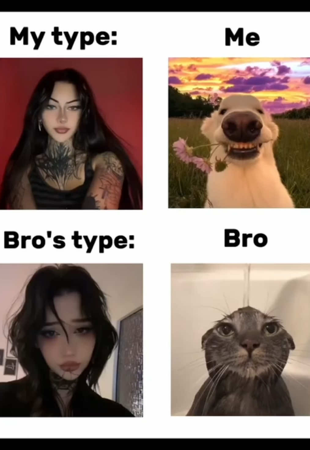 @Vamp jane