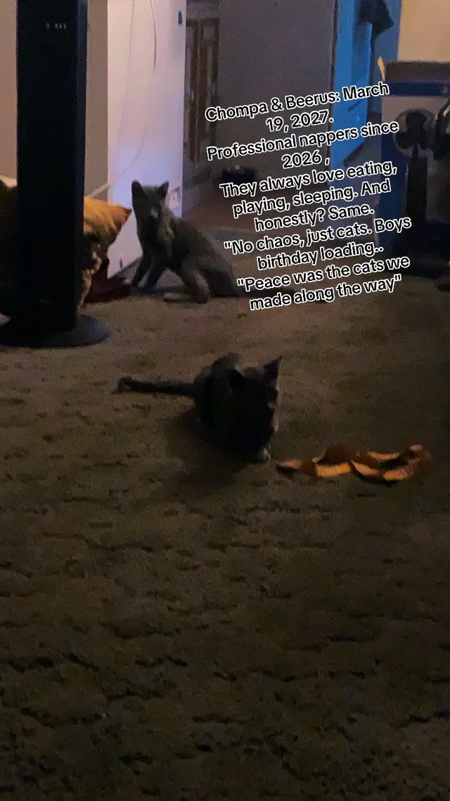 @catmomjailee123