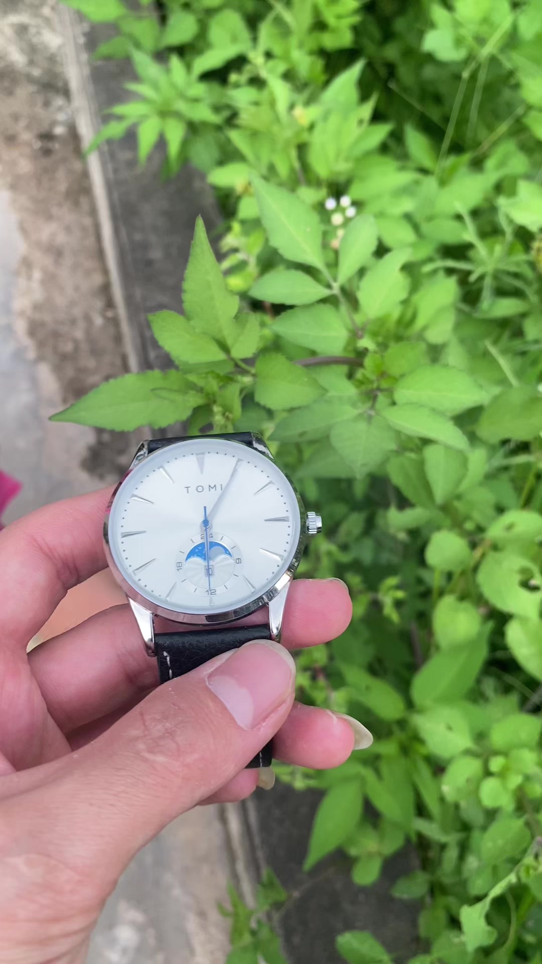 @NVL - WATCH
