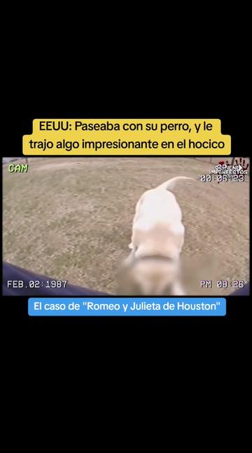 @Alejo Reportero