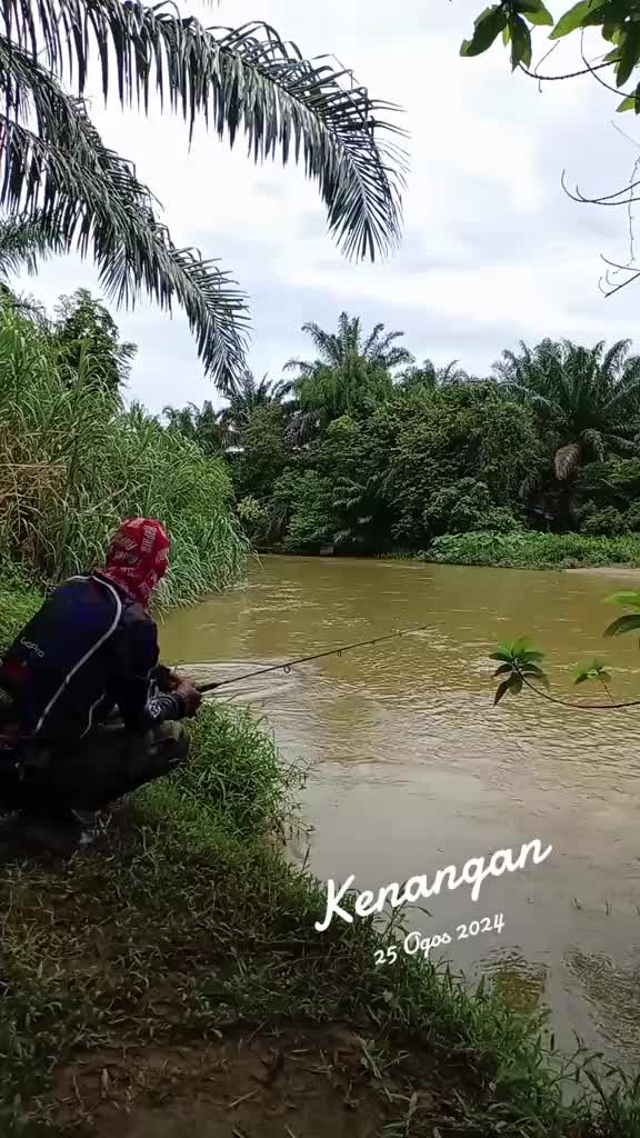 @Toman_Rimba_ll