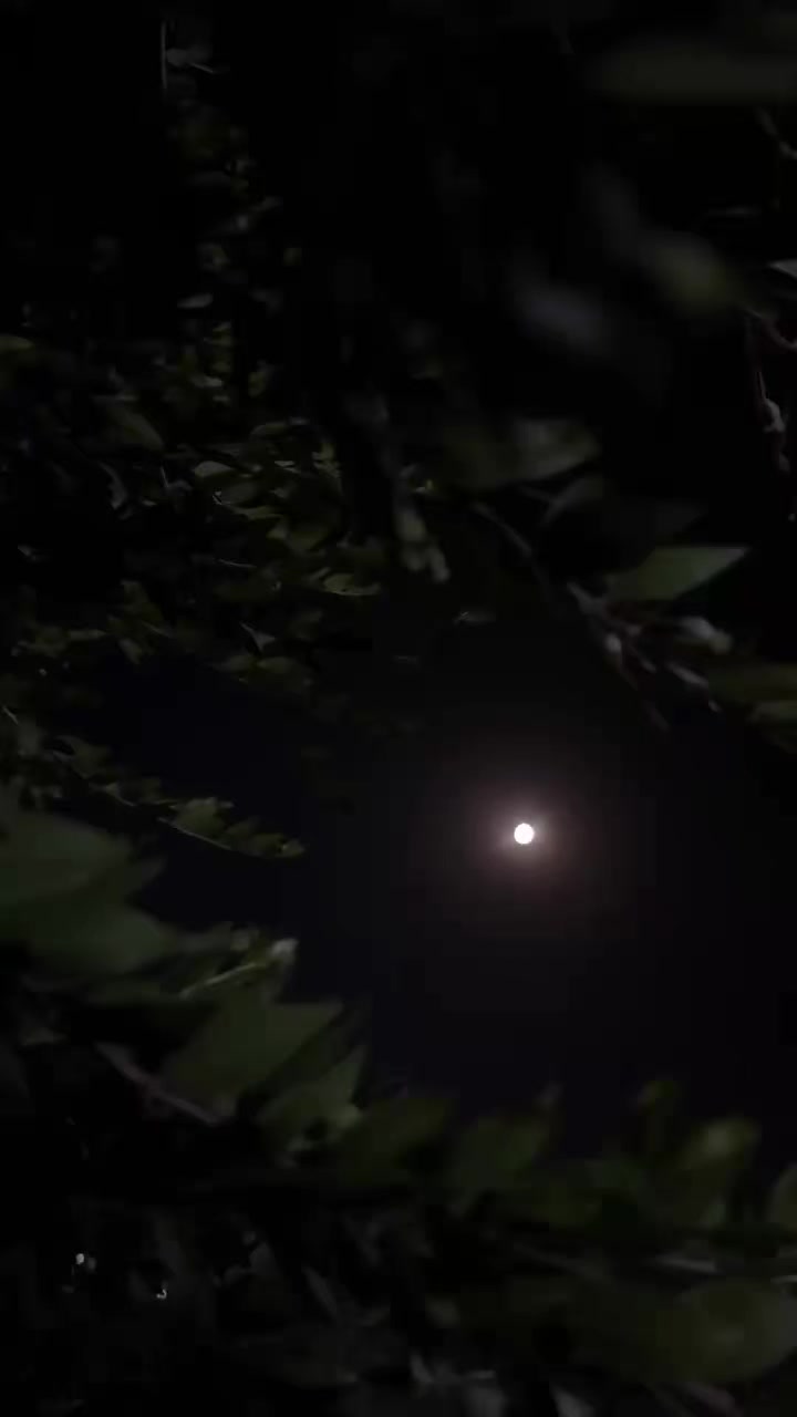 @𝓨𝓸𝓾𝓼𝓲𝓯  ོ ⠀