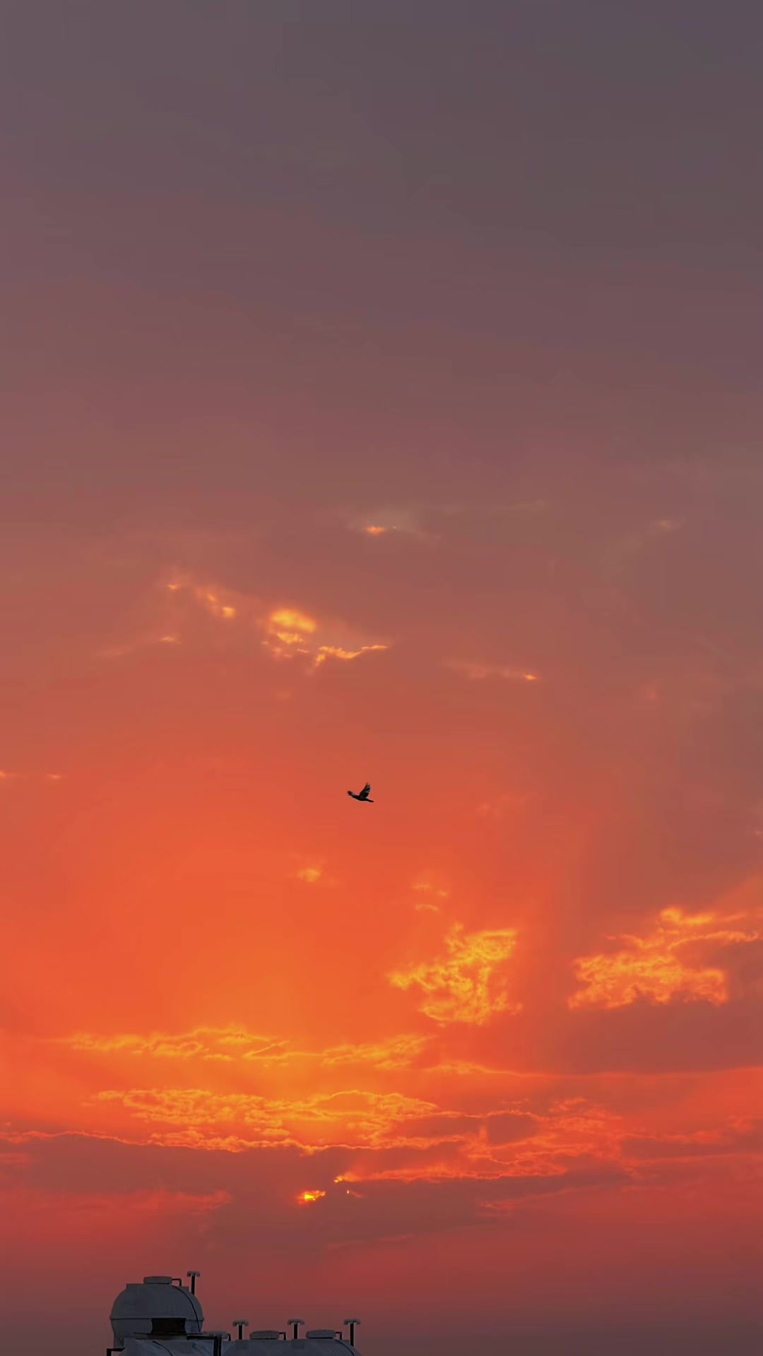 @أحلام 🇸🇦