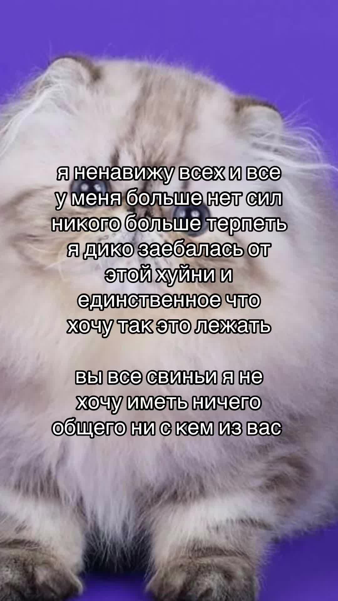 @лмао форевер