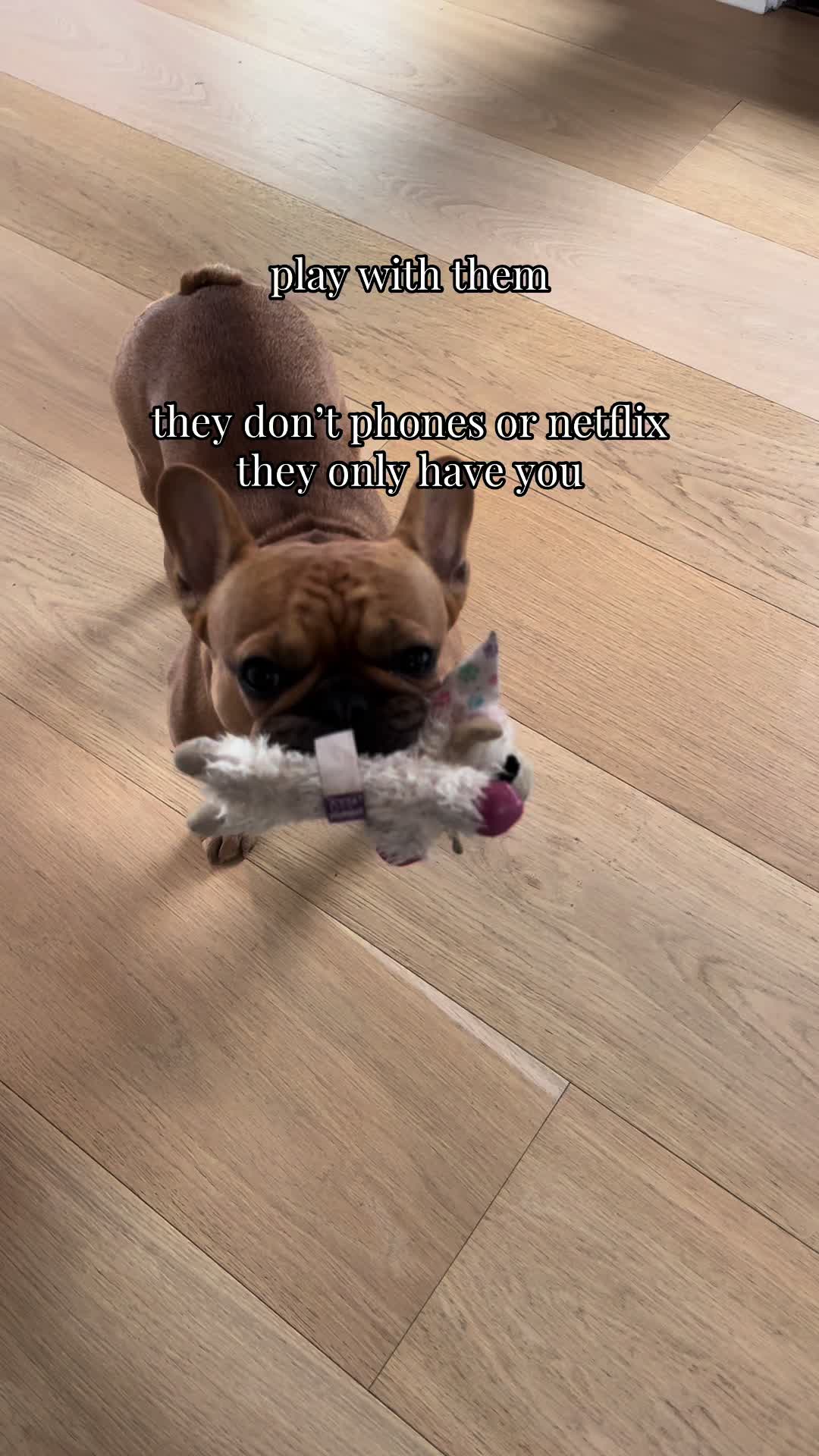 @Charlie Bear