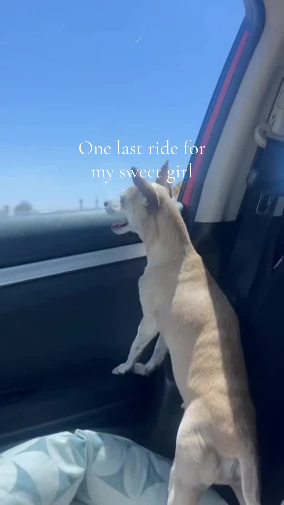 @GG🤎