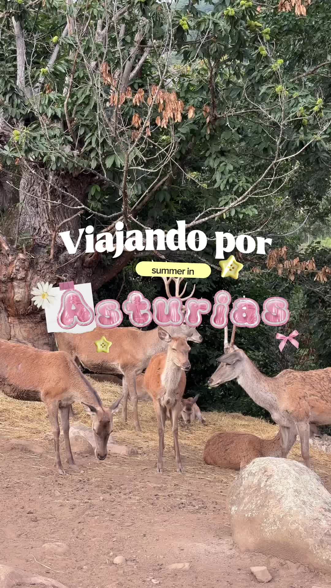 @raqueli 📖🌷