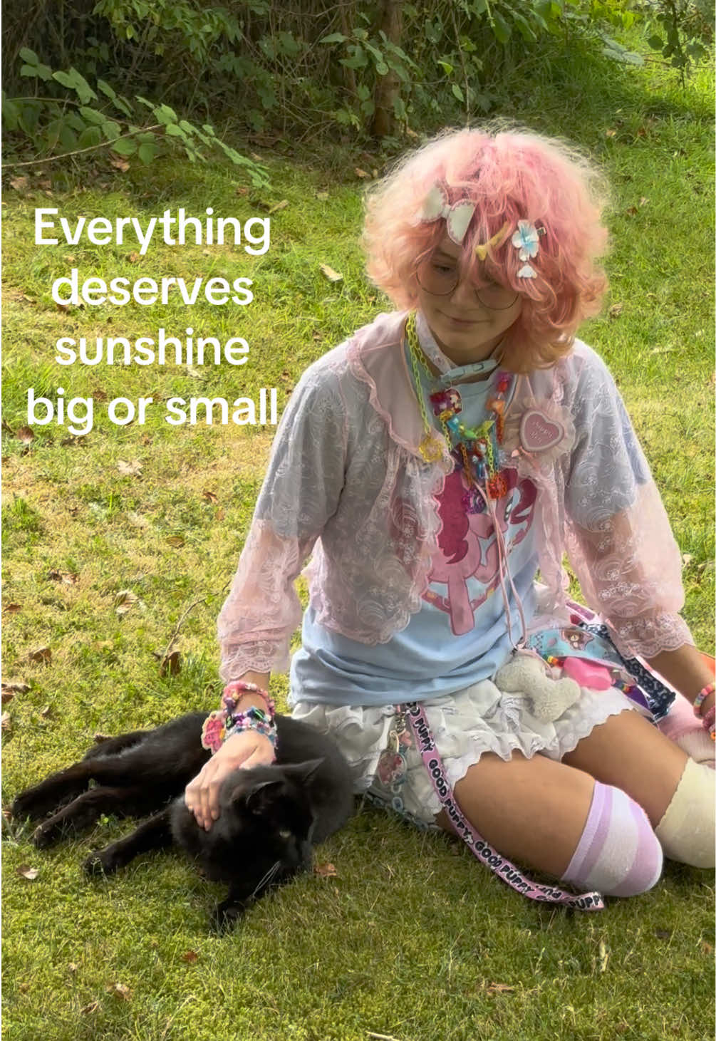 @⋄◦☆🦴THE SILLY🐾☆◦⋄
