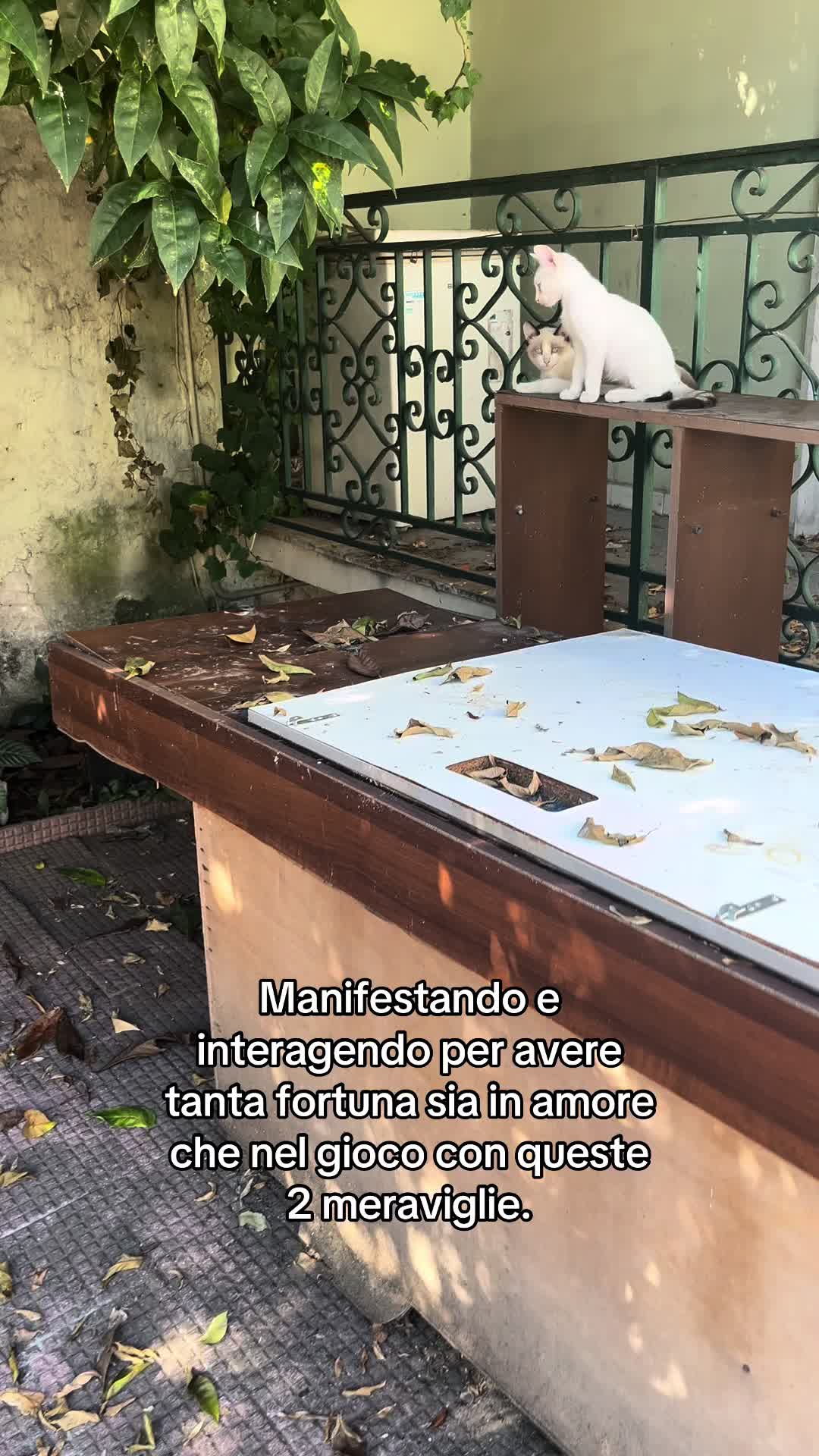 @Luigi
