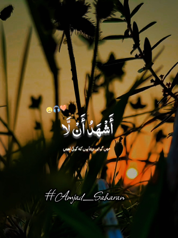 @𝐀𝐦𝐣𝐚𝐝_𝐒𝐚𝐡𝐚𝐫𝐚𝐧