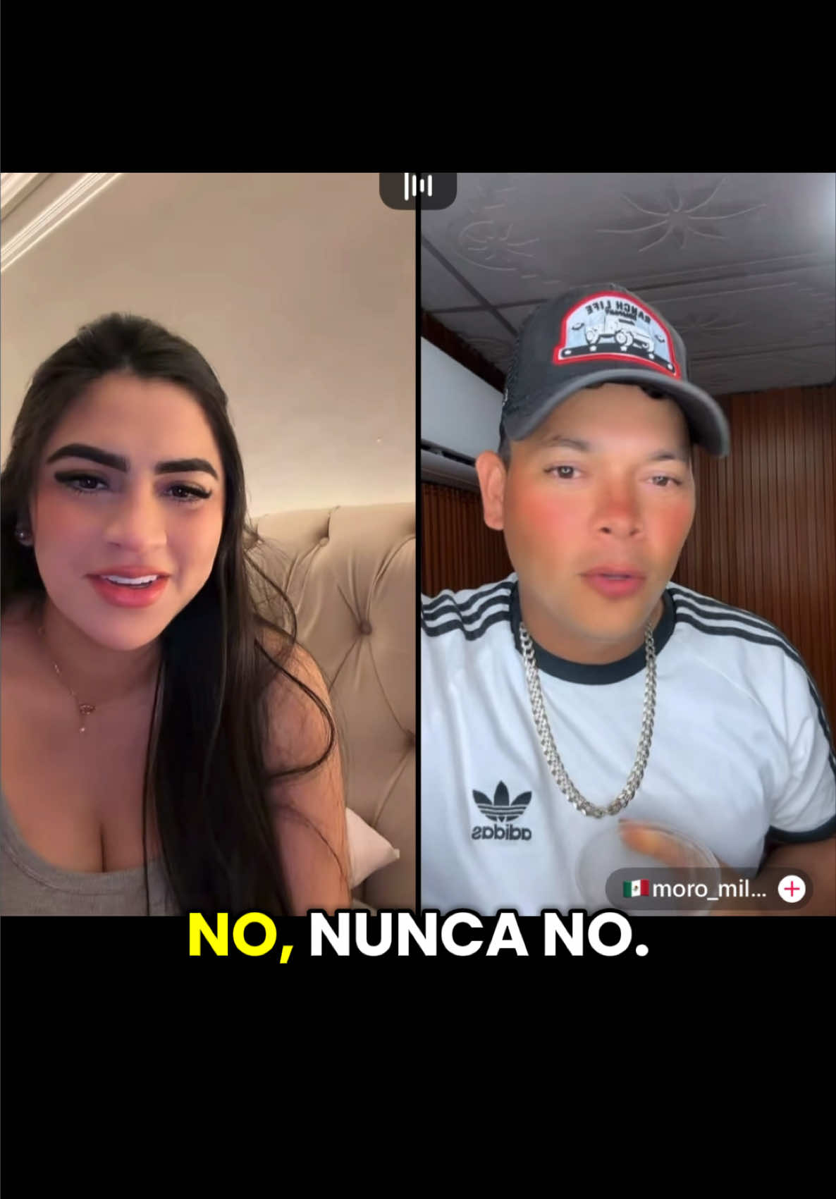 @Junirox Brasil 🇧🇷🐯💚🐢