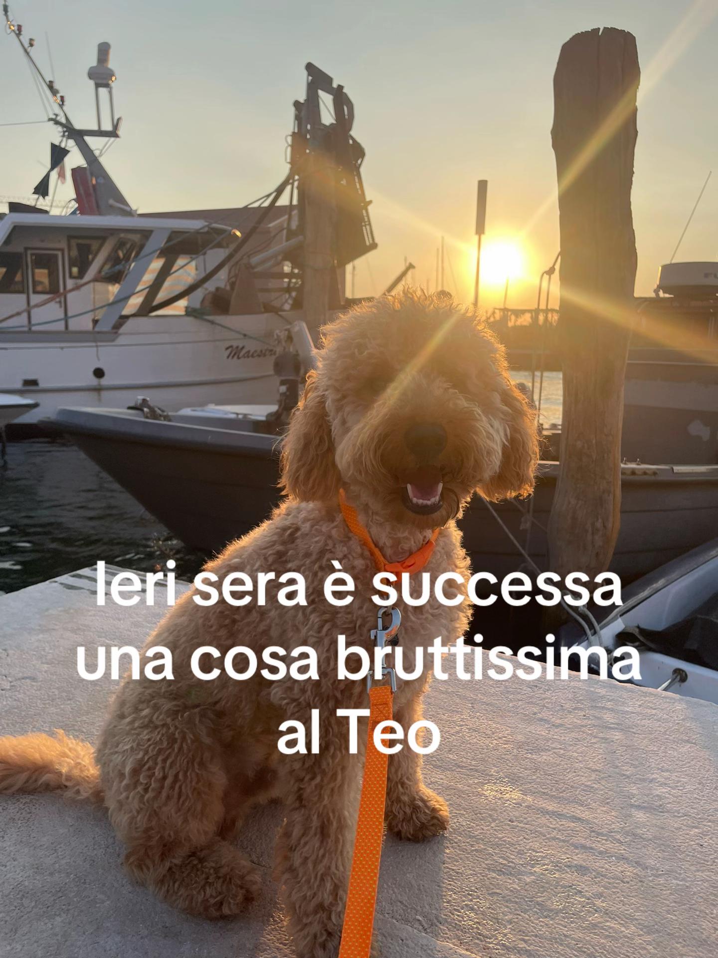@Federica