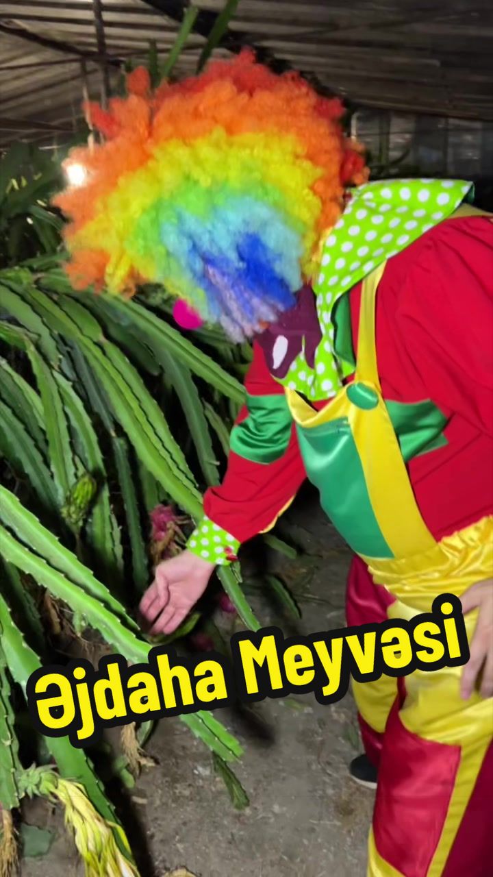 @✅️Agusha_land 🔱✅️