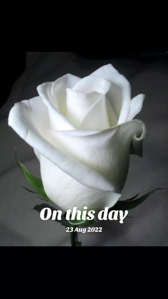 @chandan@