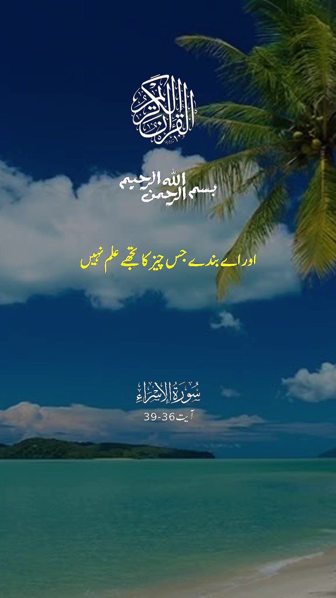 @Kayani