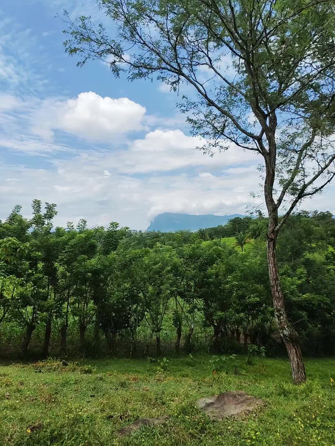@𝑌𝑒𝑠𝑠𝑆... 🌷