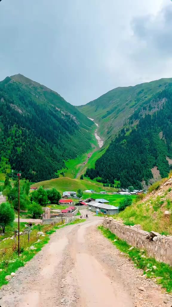 @شعیب عالم  ڈی کے