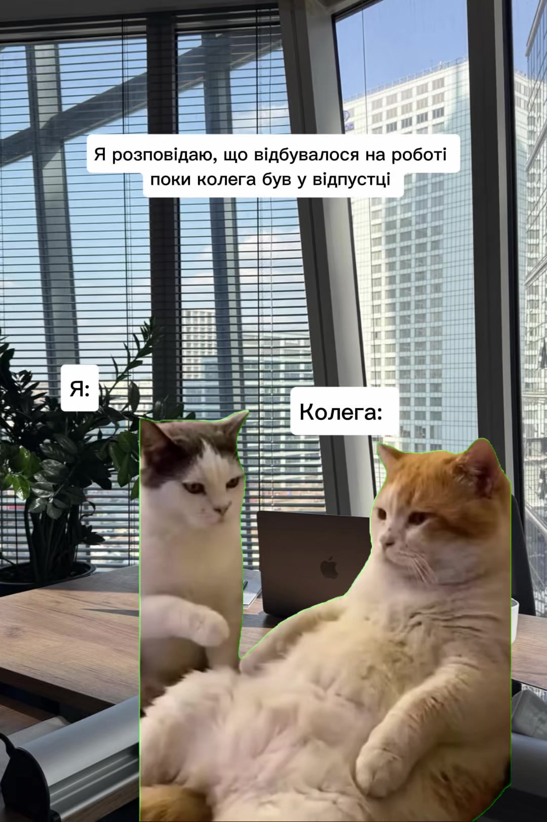 @WEBSPARK
