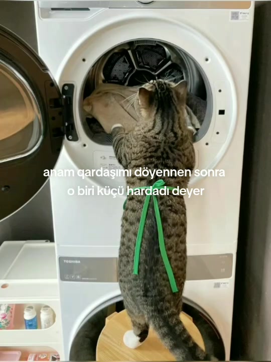@🌊🪐