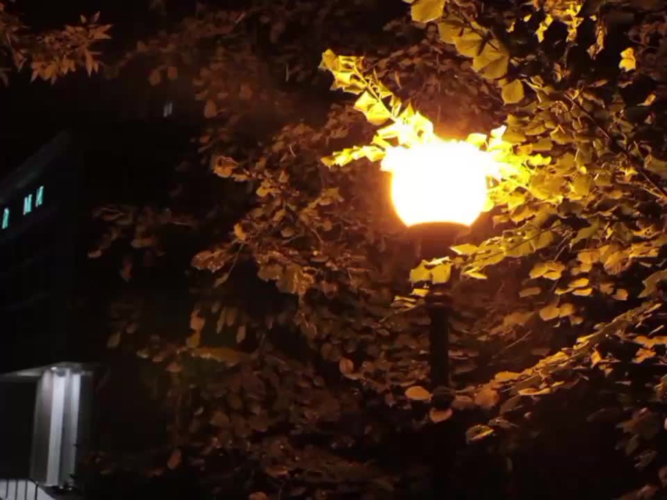 @звуки для липсингов