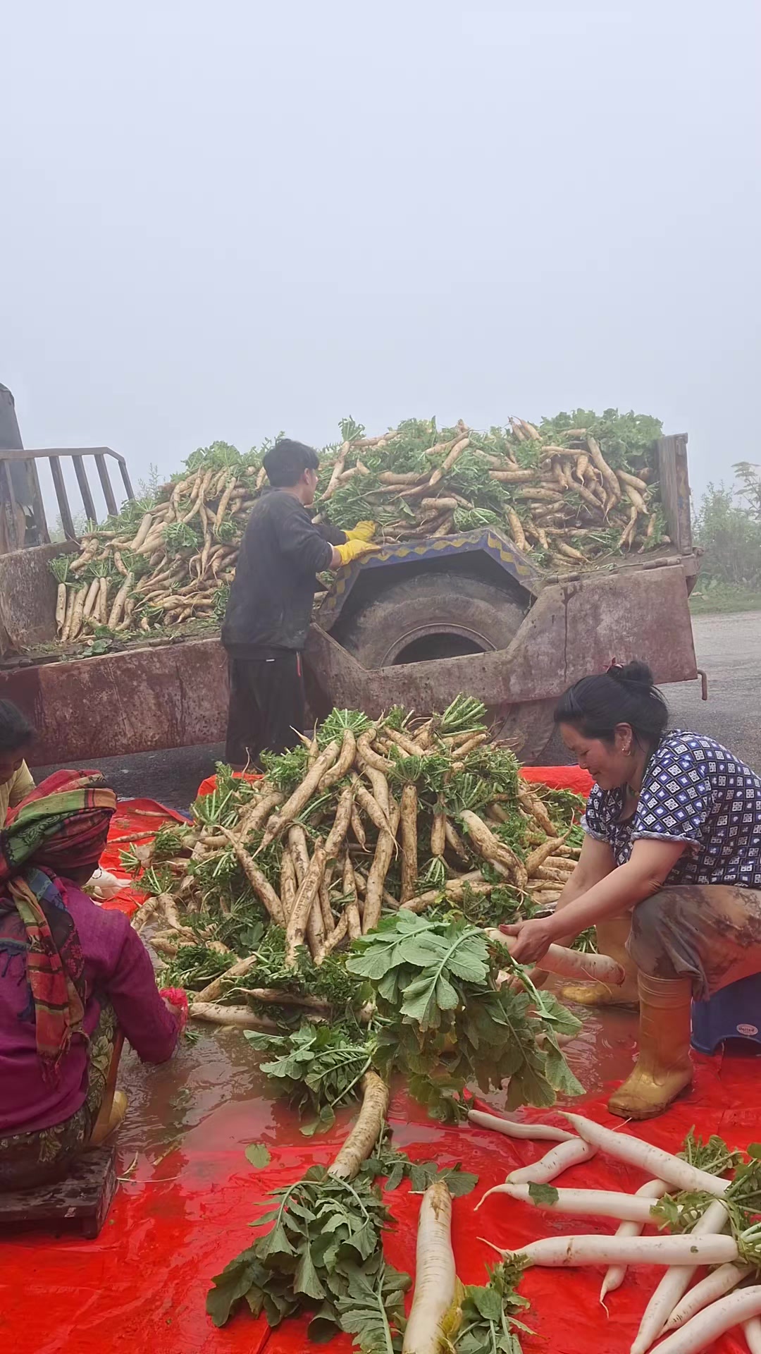 @Muna Devi Mukhiya