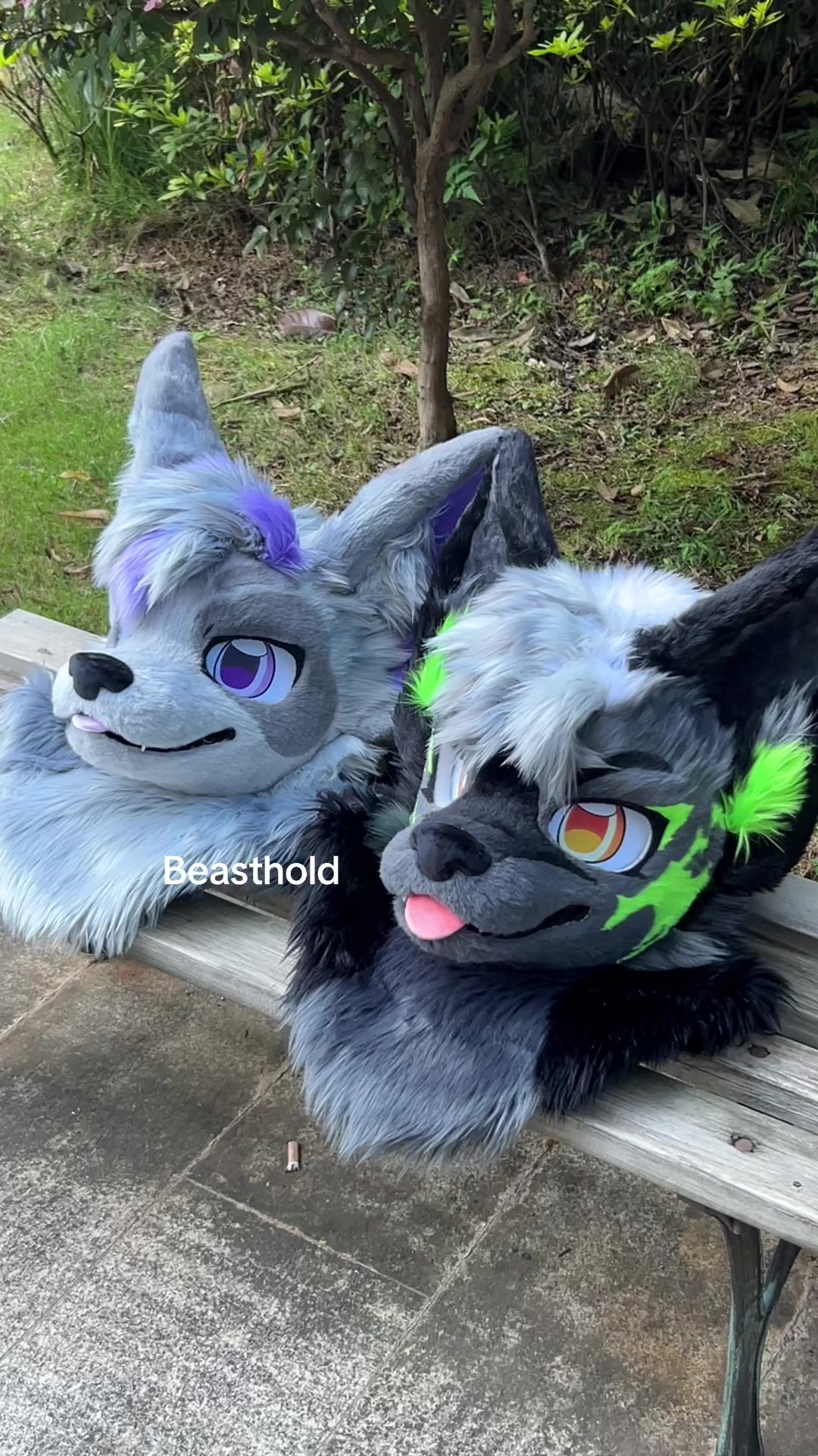 @Beasthold- furry