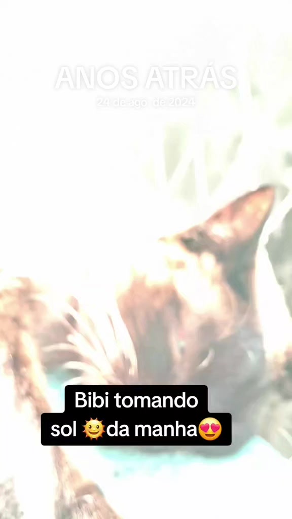 @lua