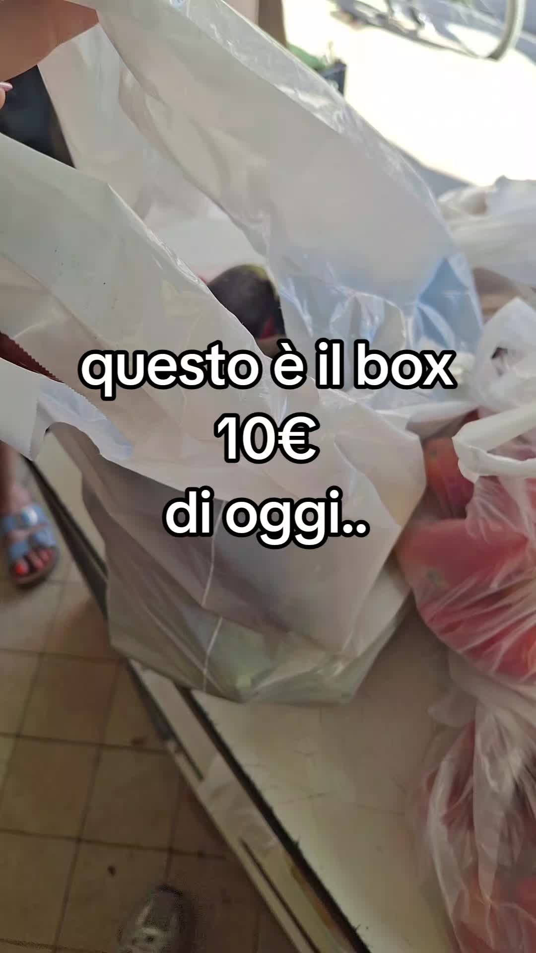 @stefy