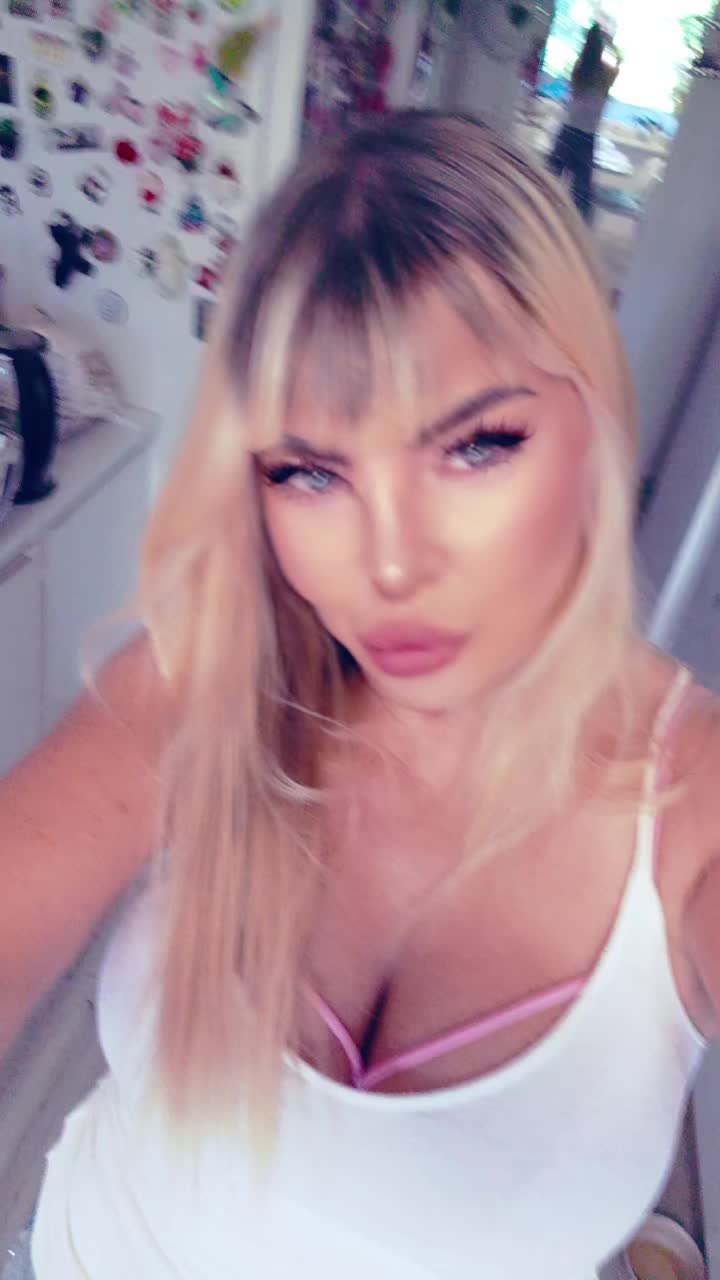 @Beautiful cat