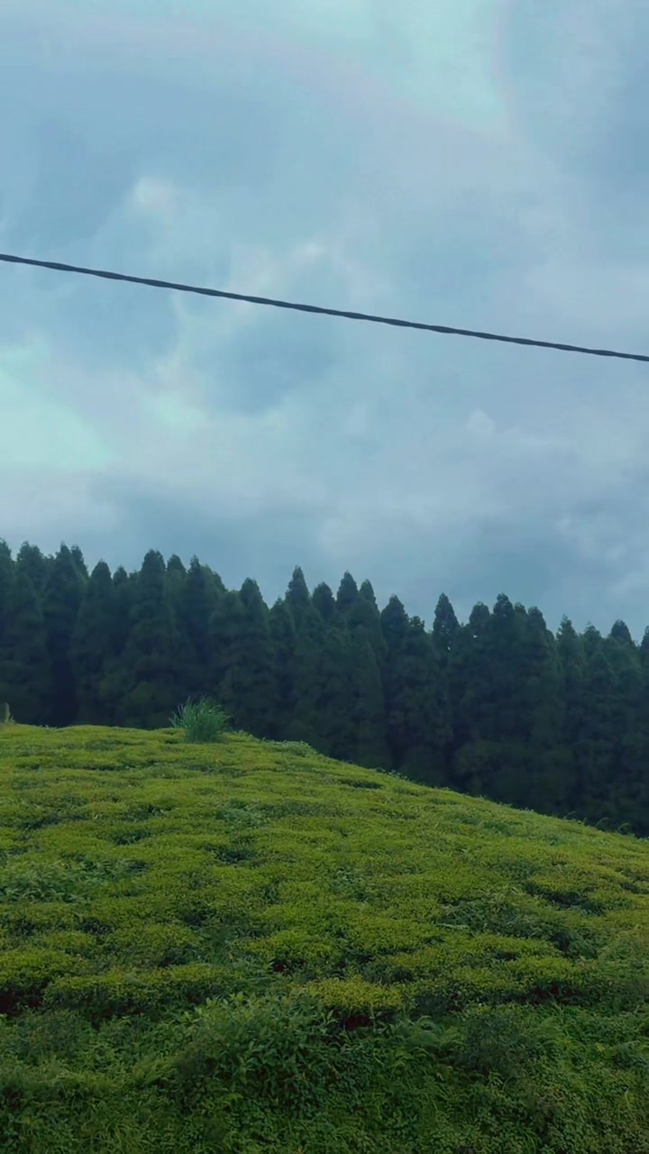 @Chesung 🕊️