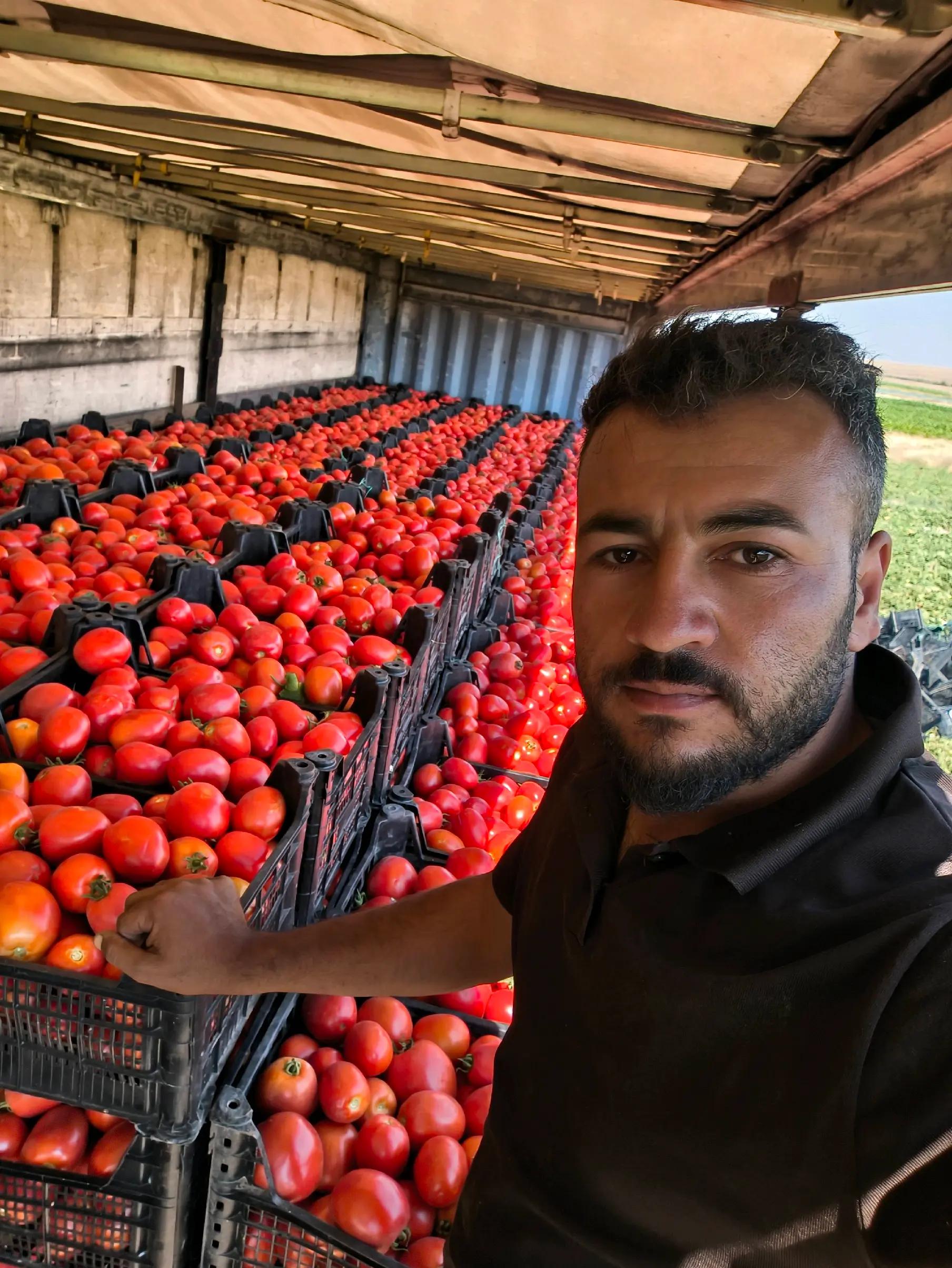 @mahmut &ccedil;avuş