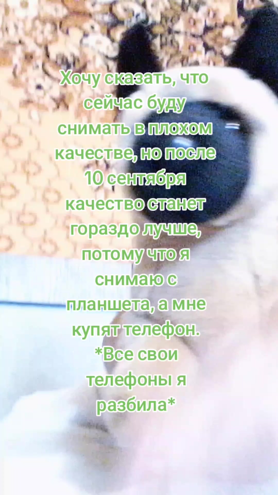 @꧁𝓒𝓵𝓸𝓿𝓮𝓻_𝓟𝓓𝓑~𝓔𝓢𝓢𝓐꧂