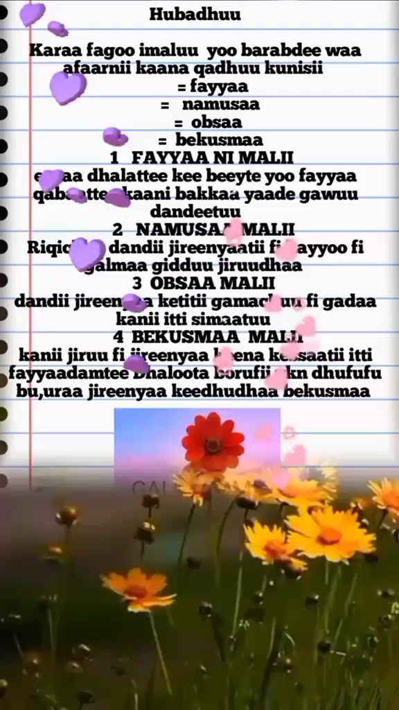 @JABUMMAA