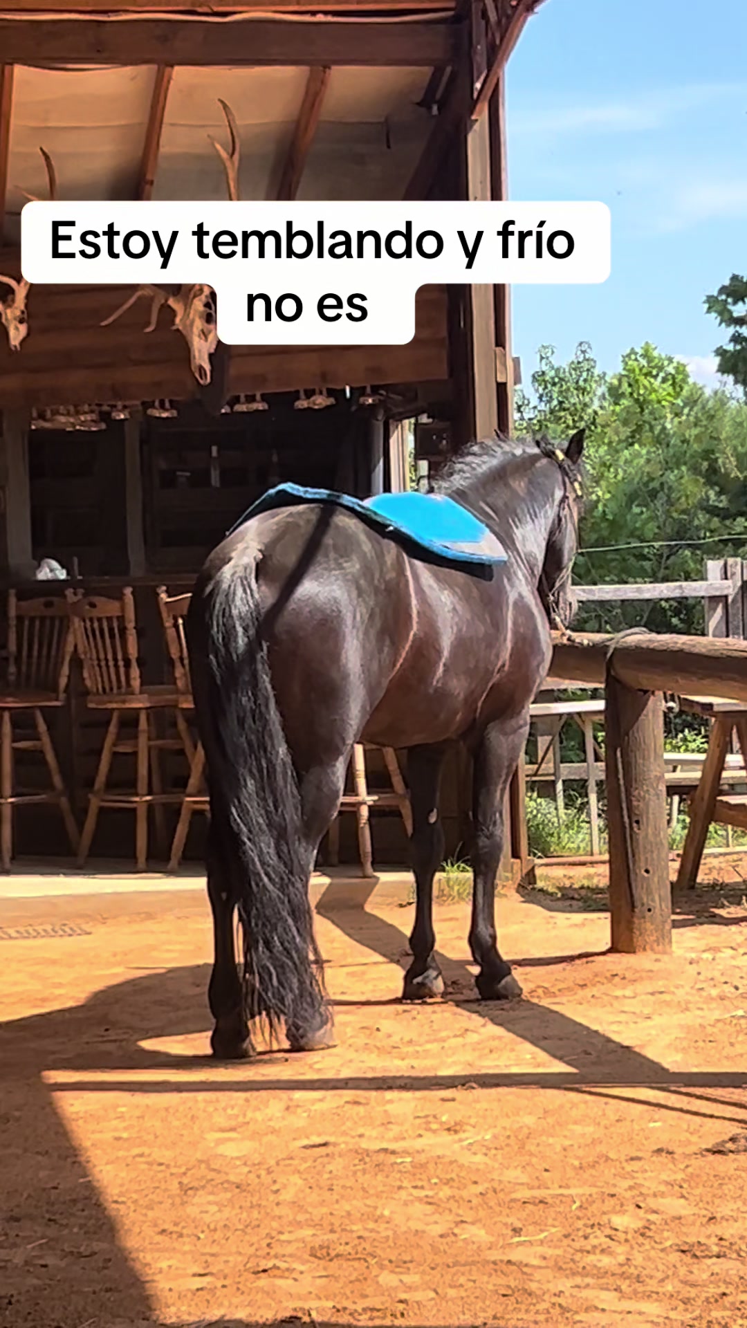 @Luna H.