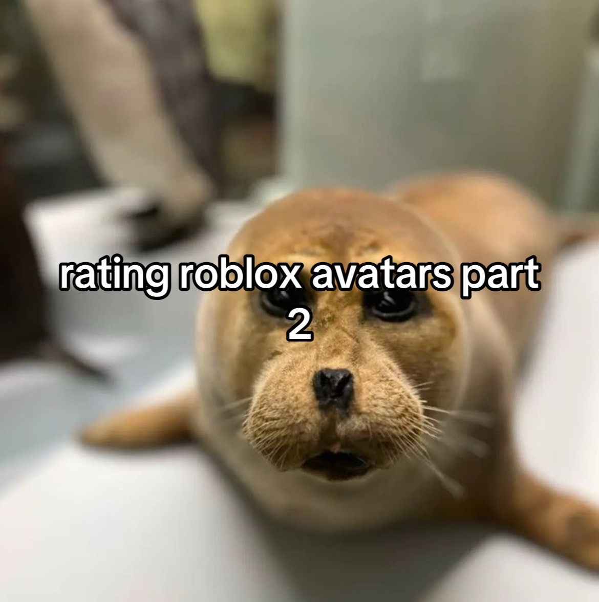 @kris