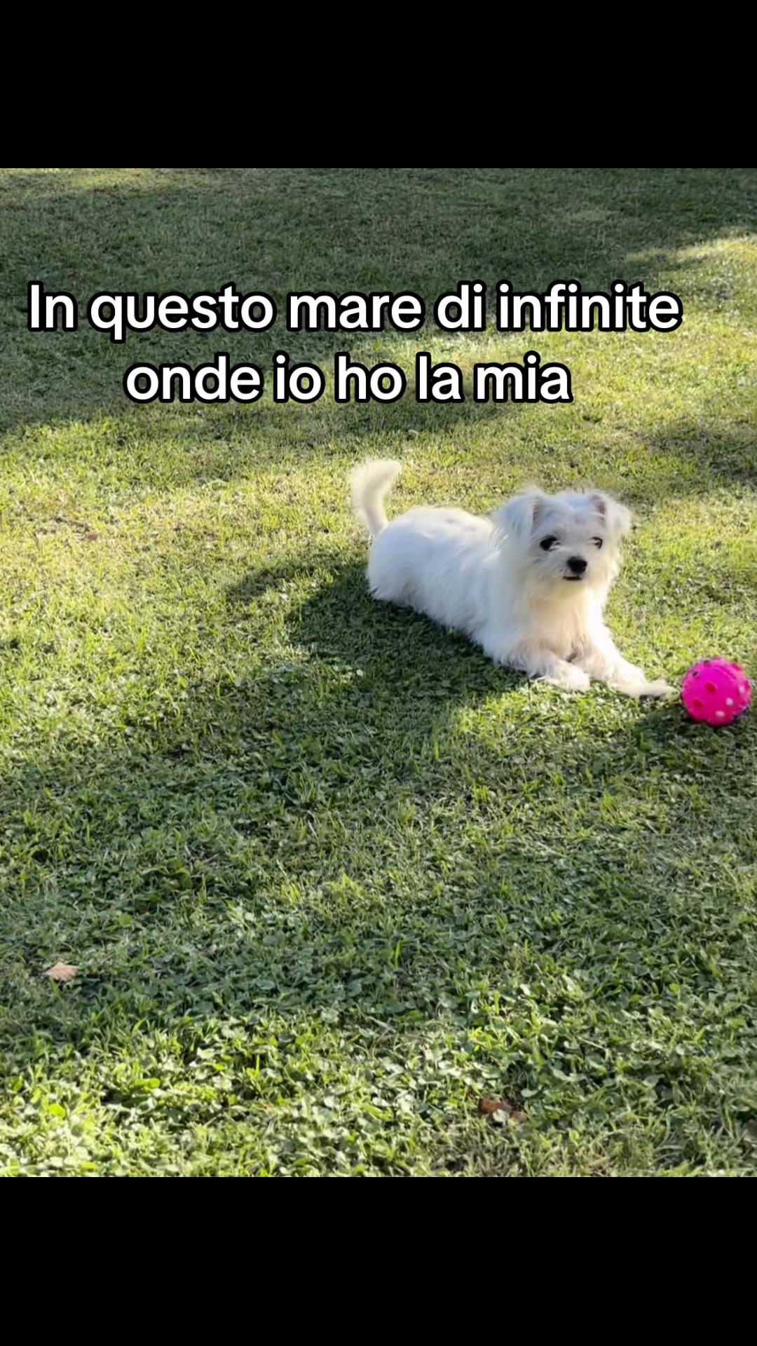 @Daria di lena