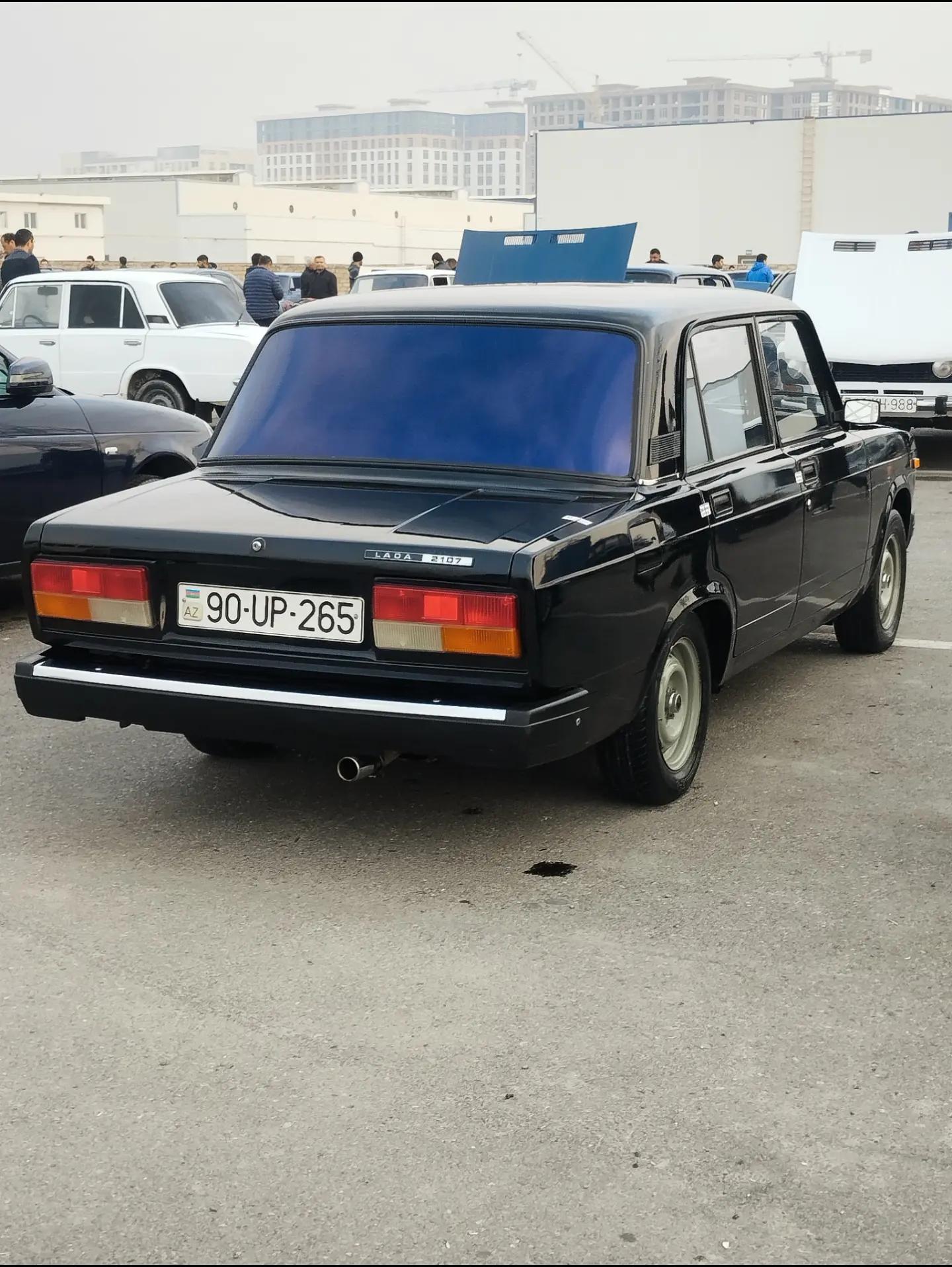 @Şamxal265