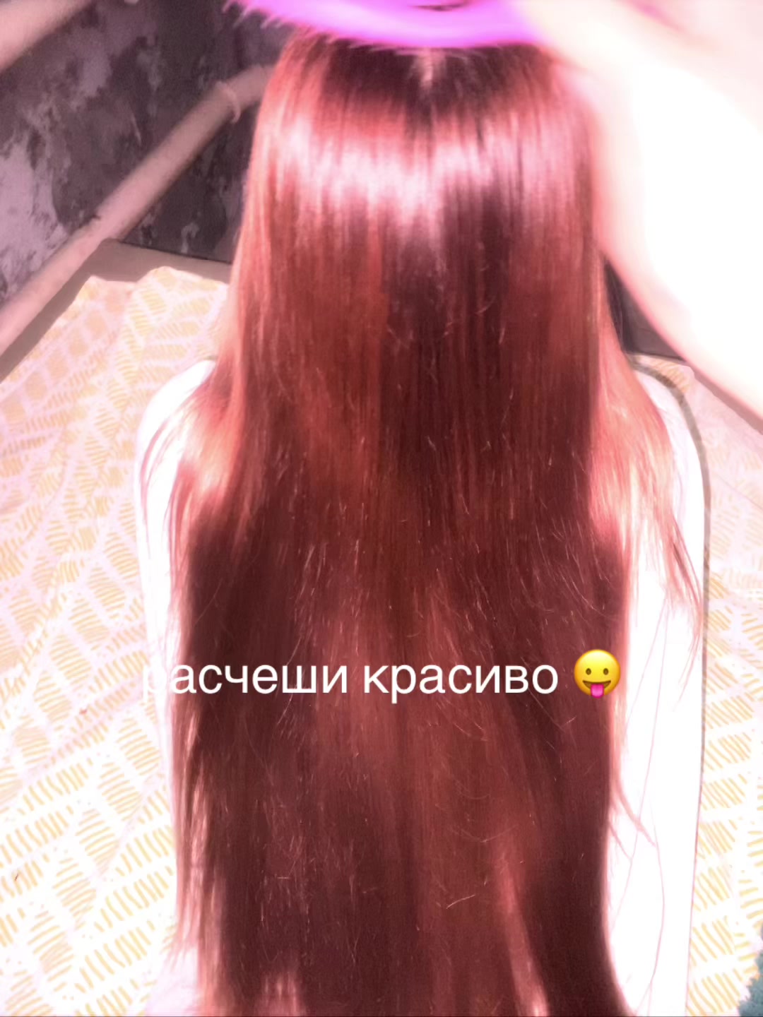 @🐱