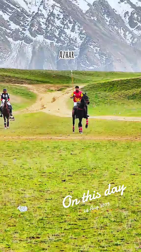@️POLO ARCHIVE 👀🐴