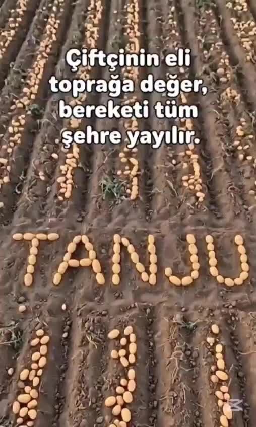 @Tanjucoskun51