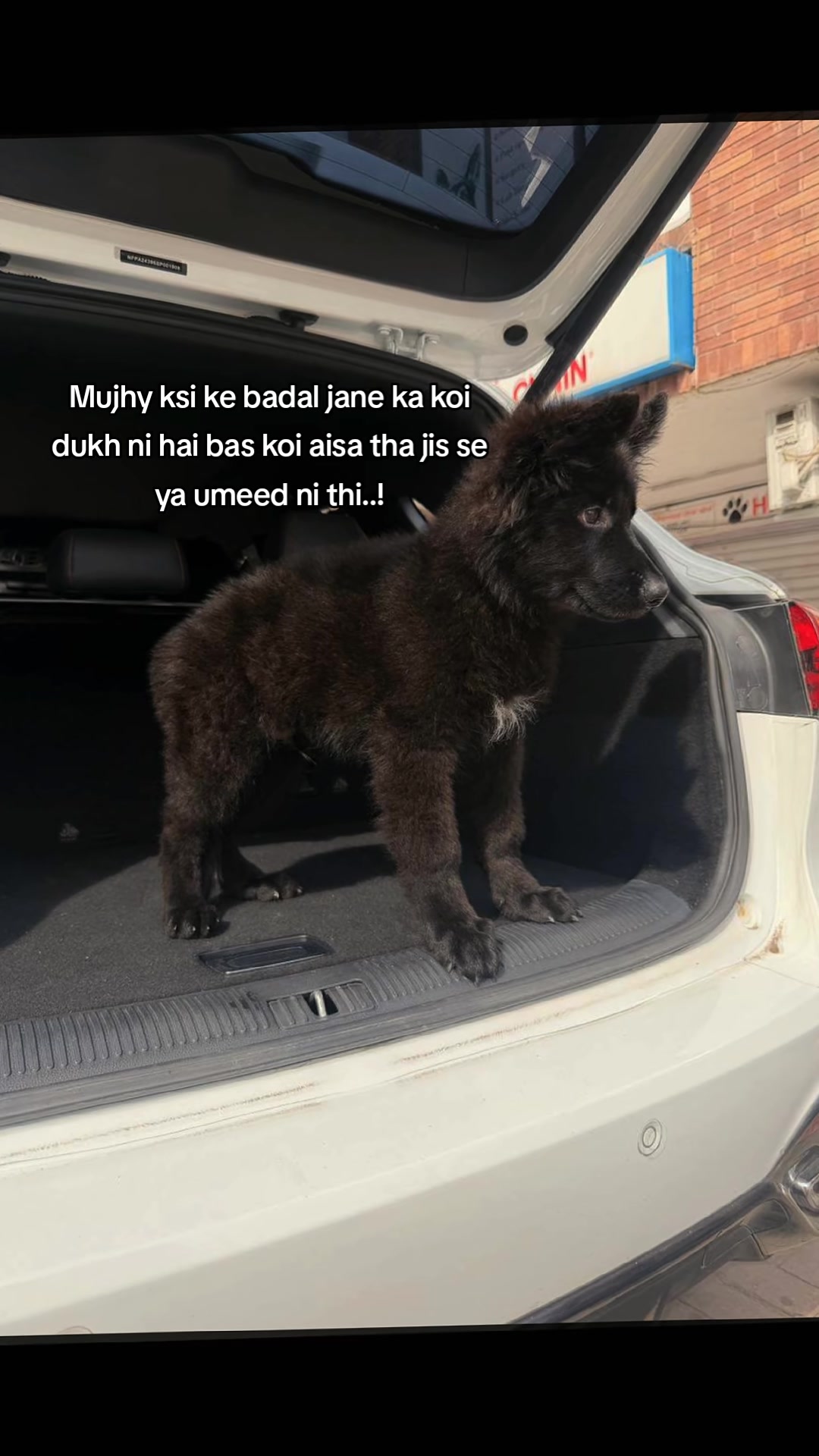 @A.Awan🧸