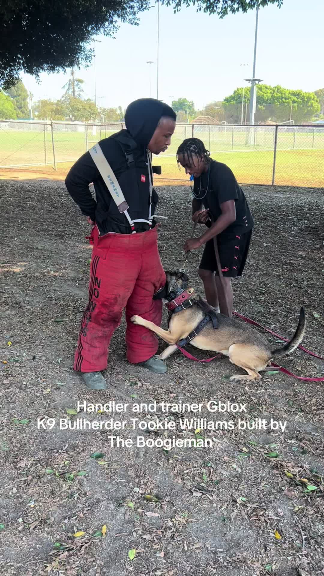 @K9HUBB DIRECTOR