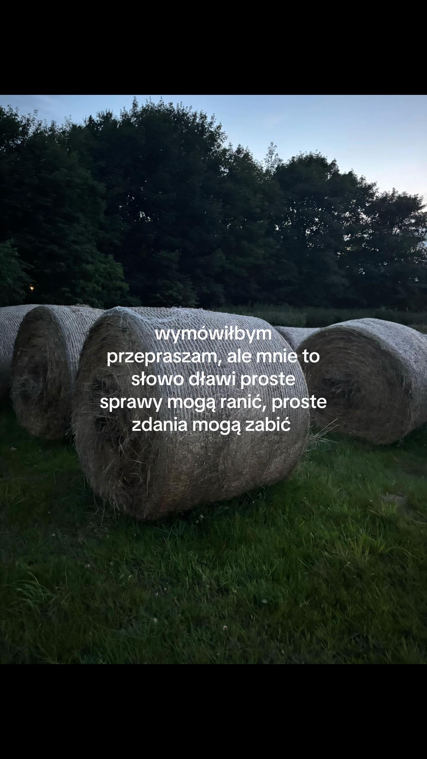 @ig:niusiaa2